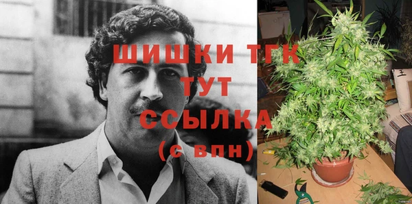 дживик Алзамай