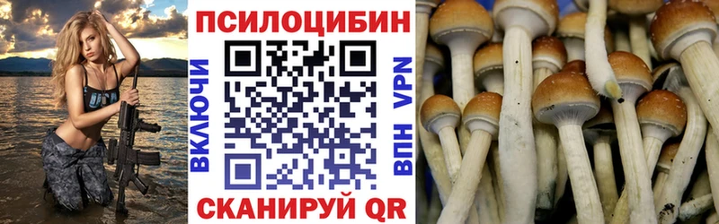 закладки  Нягань  Галлюциногенные грибы GOLDEN TEACHER 